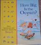 How Big Is the Ocean? (Time Life's Library of First Questions and Answers)