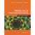 Precalculus Functions and Graphs: A Graphing Approach 5th Edition