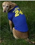 Jeff Gordon Nascar Pet Jersey