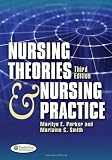 Nursing Theories and Nursing Practice