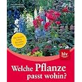 Welche Pflanze passt wohin?: Die besten Arten f�r jeden Garten Standorte - Gartenbereiche - Gestaltungsstile - Lieblingsfarben - Jahreszeiten