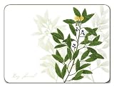 Jason Kitchen Herbs Placemats - Set of 4 (Large)