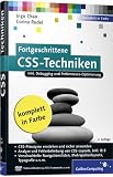 Fortgeschrittene CSS-Techniken: Fortgeschrittene CSS-Techniken, komplexe CSS-Layouts, verschachtelte Navigationslisten, Mehrspaltenlayouts, Debugging u.v.m (Galileo Computing)