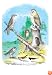 American Lanier Falcon (Prairie Hawk) 12x18 Giclee on canvas