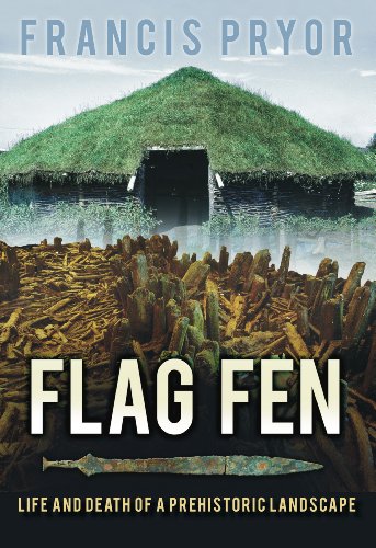 flag fen life and death of a prehistoric landscape