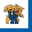University of Kentucky Wildcats Cocktail Napkins