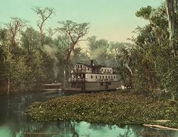 On the Ocklawaha River in Florida, 1902 - Exceptional 16" x 20" print of vintage color photochrome from the Library of Congress Collection