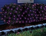Celebrations Inliten-d 34091-71 Halloween Net Light Purple