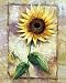 Magnificent Sunflower Art Print Poster By Rian Withaar, 5.25  x 7 