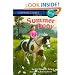 Summer Pony (Stepping Stone Chapter Books)