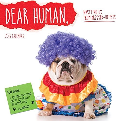 Dear Human - 2016 Calendar 12 x 12in