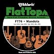 D'Addario Set Mandola Flat Top Pb Med