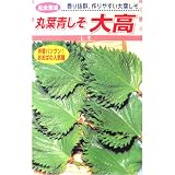 丸葉青しそ大高(松永育成)数量:7ml