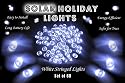 Solar Christmas Lights - 60 White LED String Complete with Solar Panel