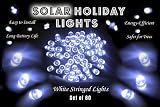 Solar Christmas Lights - 60 White LED String Complete with Solar Panel