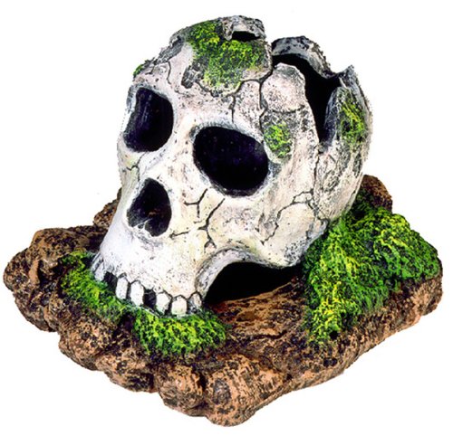 Exotic Environments Broken Skull Aquarium Ornament, Small, 5-Inch by 3-1/2-Inch by 4-Inch