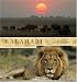 Book Kalahari: Wild Africa