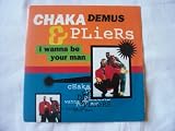 CHAKA DEMUS & PLIERS I Wanna Be Your Man 7"