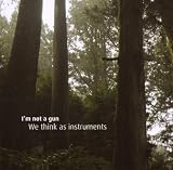 We Think As Instruments