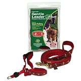 Gentle Leader Deluxe Head Collar and Leash, Small, Bones On Square/Black