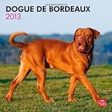 Dogue de Bordeaux 2013 - Bordeauxdoggen - Original BrownTrout-Kalender