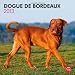 Dogue De Bordeaux 2013 Wall: Bordeauxdoggen