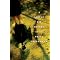 Book Club Suggestions 2008-2009