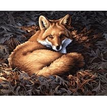 Paint by Number Sunlit Fox