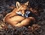 Dimensions Needlecrafts Paintworks Paint By Number, Sunlit Fox