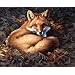 Dimensions Needlecrafts Paintworks Paint By Number, Sunlit Fox