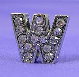 W Letter 10mm Slide Charm for Personalized Bling Dog Collar