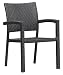 Zuo Boracay Chair