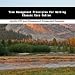 Book Time Management Principles For Selling Classic Cars Online
