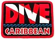 Dive Caribbean Patch Embroidered Iron On Scuba Diving Flag Emblem Souvenir