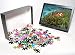 Photo Jigsaw Puzzle of Western Clownfish from Danita Delimont
