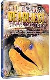 Australias Deadliest Sea Creatures