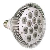 LED - 850 Lumens - 12 Watt - 12 LED - PAR38 Bulb - 70+ Watt Replacement - Warm White (3000 Kelvin)
