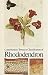 Book Contributions Toward a Classification of Rhododendron: Proceedings of Conference Held May 15-17, 1978, New York Botanical Gardens