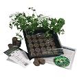 Indoor Culinary Herb Garden Starter Kit- Start Growing Fresh Cooking Herbs & Spices- Great Gift Idea!- Seeds: Parsley, Thyme, Cilantro, Basil, Dil
