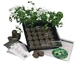 Indoor Culinary Herb Garden Starter Kit- Start Growing Fresh Cooking Herbs & Spices- Great Gift Idea!- Seeds: Parsley, Thyme, Cilantro, Basil, Dill, Oregano, Sweet Marjoram, Chives, Savory, Garlic Chives, Mustard, Sage