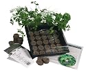 Indoor Culinary Herb Garden Starter Kit- Start Growing Fresh Cooking Herbs & Spices- Great Gift Idea!- Seeds: Parsley, Thyme, Cilantro, Basil, Dill, Oregano, Sweet Marjoram, Chives, Savory, Garlic Chives, Mustard, Sage