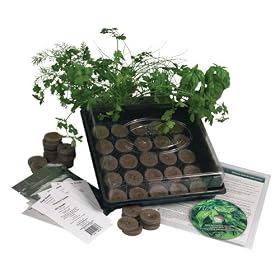 Indoor Culinary Herb Garden Starter Kit- Start Growing Fresh Cooking Herbs & Spices- Great Gift Idea!- Seeds: Parsley, Thyme, Cilantro, Basil, Dill, Oregano, Sweet Marjoram, Chives, Savory, Garlic Chives, Mustard, Sage
