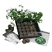Indoor Culinary Herb Garden Starter Kit- Start Growing Fresh Cooking Herbs & Spices- Great Gift Idea!- Seeds: Parsley, Thyme, Cilantro, Basil, Dill, Oregano, Sweet Marjoram, Chives, Savory, Garlic Chives, Mustard, Sage