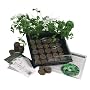 Indoor Culinary Herb Garden Starter Kit- Start Growing Fresh Cooking Herbs & Spices- Great Gift Idea!- Seeds: Parsley, Thyme, Cilantro, Basil, Dill, Oregano, Sweet Marjoram, Chives, Savory, Garlic Chives, Mustard, Sage