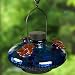 Parasol Bloom Glass Hummingbird Feeder Blue
