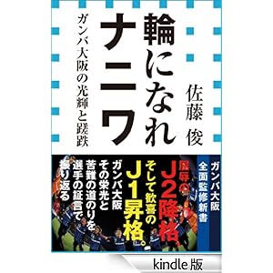 輪になれナニワ ガンバ大阪の光輝と蹉跌(小学館新書)