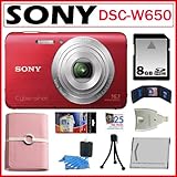 Sony Cyber-shot DSC-W650 16.1 MP Digital Camera with 5x Optical Zoom and 3.0-Inch LCD in Red + 8GB SDHC + Sony Case + Card Reader + Replacement Battery + Accessory Kit