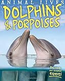 Dolphins and porpoises