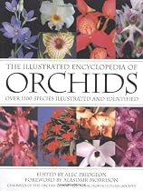 The Illustrated Encyclopedia Of Orchids