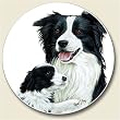 Border Collie Auto Coaster, Single Coaster for Your Car